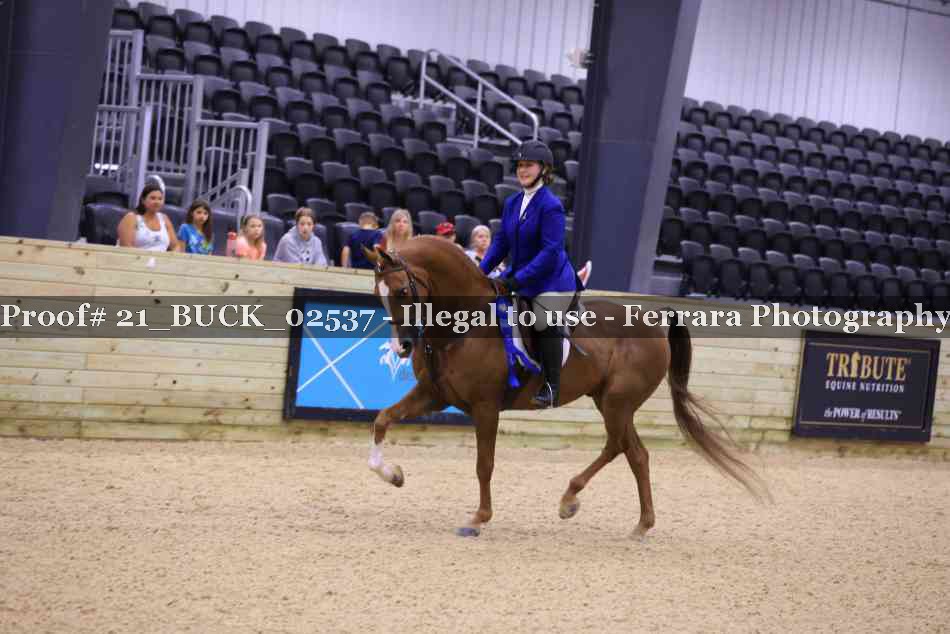 Proof Number 21_BUCK_02537