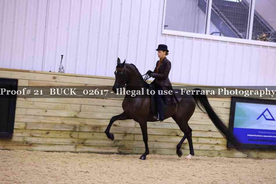 Proof Number 21_BUCK_02617