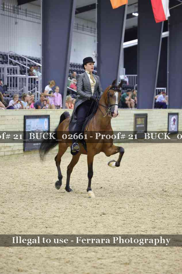 Proof Number 21_BUCK_02661