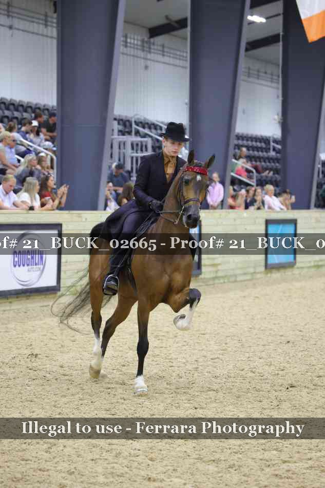 Proof Number 21_BUCK_02665
