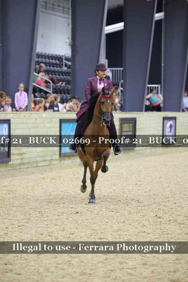 Proof Number 21_BUCK_02669