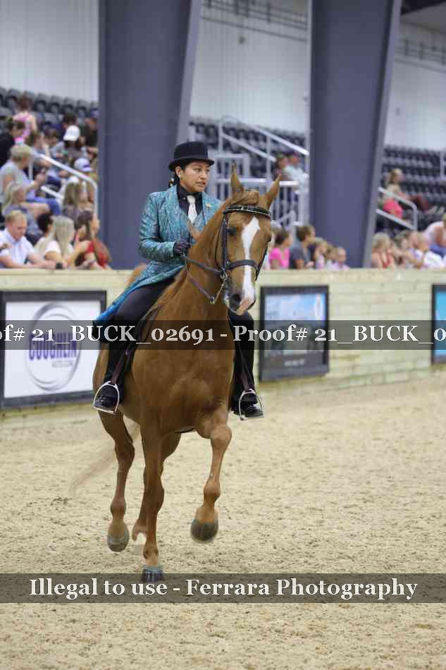 Proof Number 21_BUCK_02691