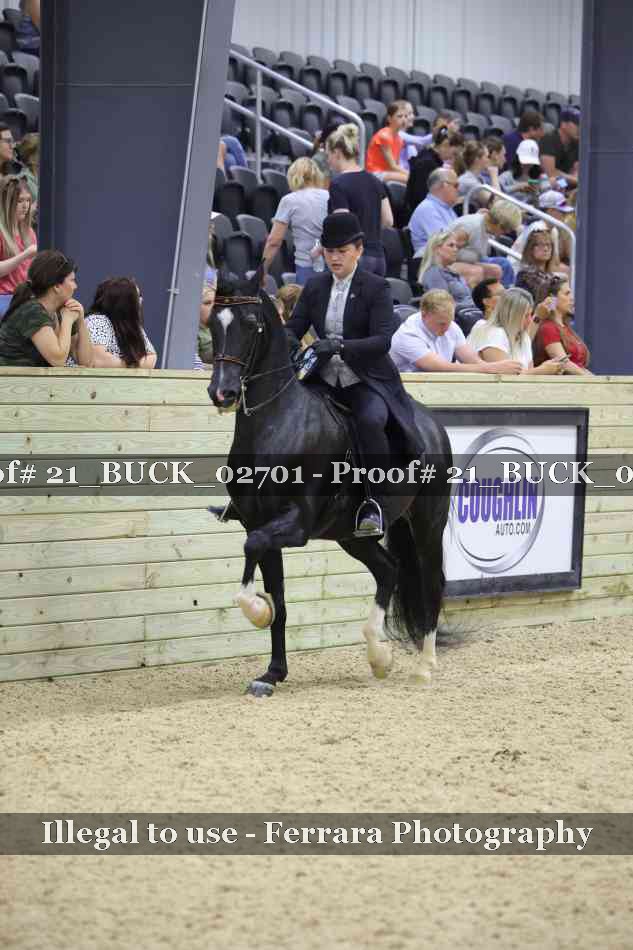 Proof Number 21_BUCK_02701