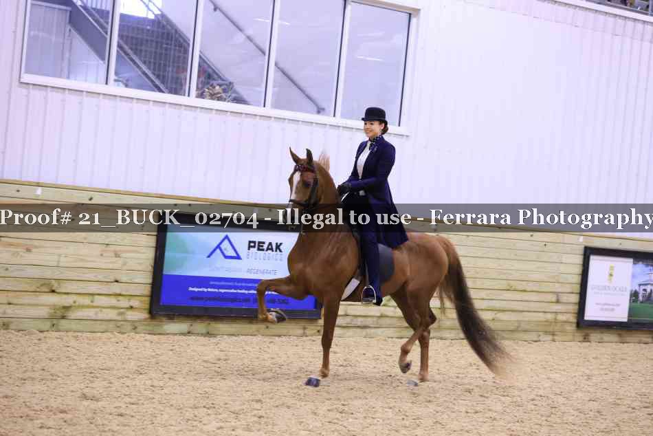 Proof Number 21_BUCK_02704