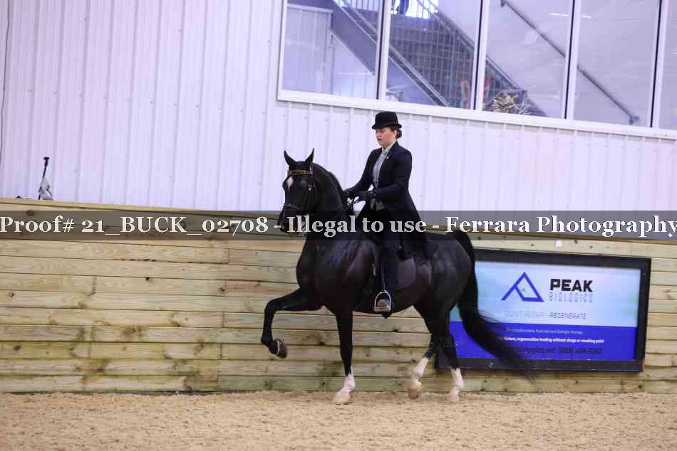 Proof Number 21_BUCK_02708