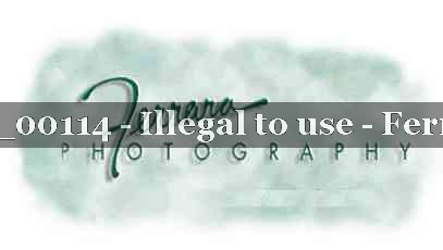 Proof Number 21_BUCK_00114