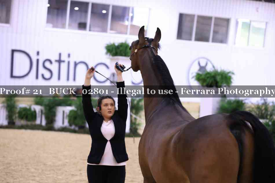 Proof Number 21_BUCK_02801