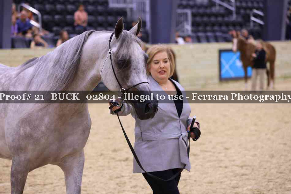 Proof Number 21_BUCK_02804