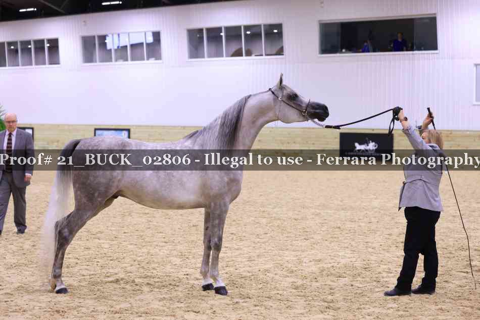 Proof Number 21_BUCK_02806