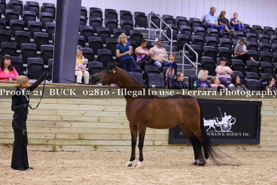 Proof Number 21_BUCK_02810