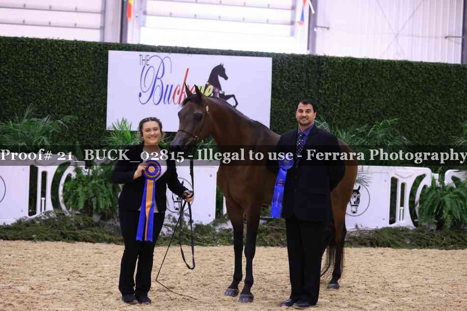 Proof Number 21_BUCK_02815