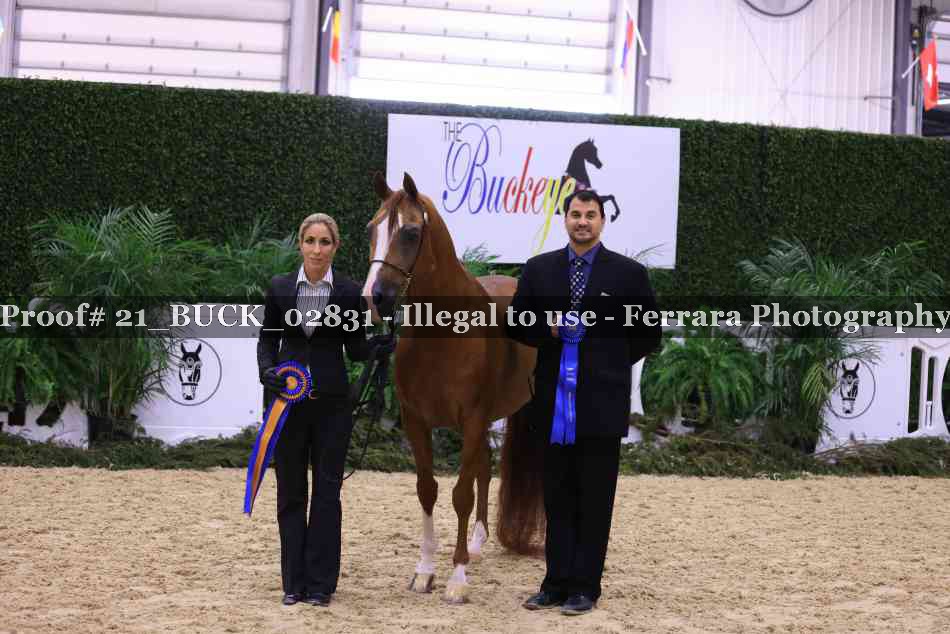 Proof Number 21_BUCK_02831