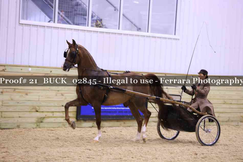 Proof Number 21_BUCK_02845