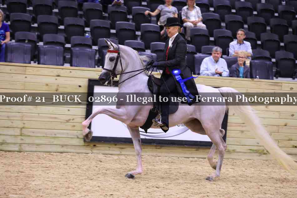 Proof Number 21_BUCK_02896