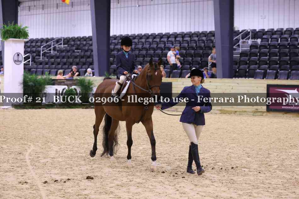 Proof Number 21_BUCK_02906