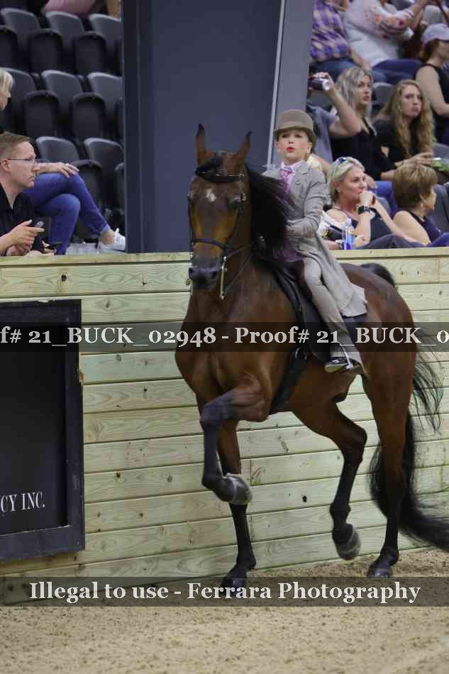 Proof Number 21_BUCK_02948