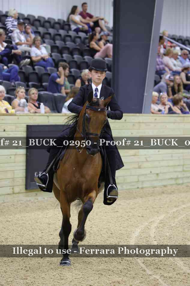 Proof Number 21_BUCK_02950