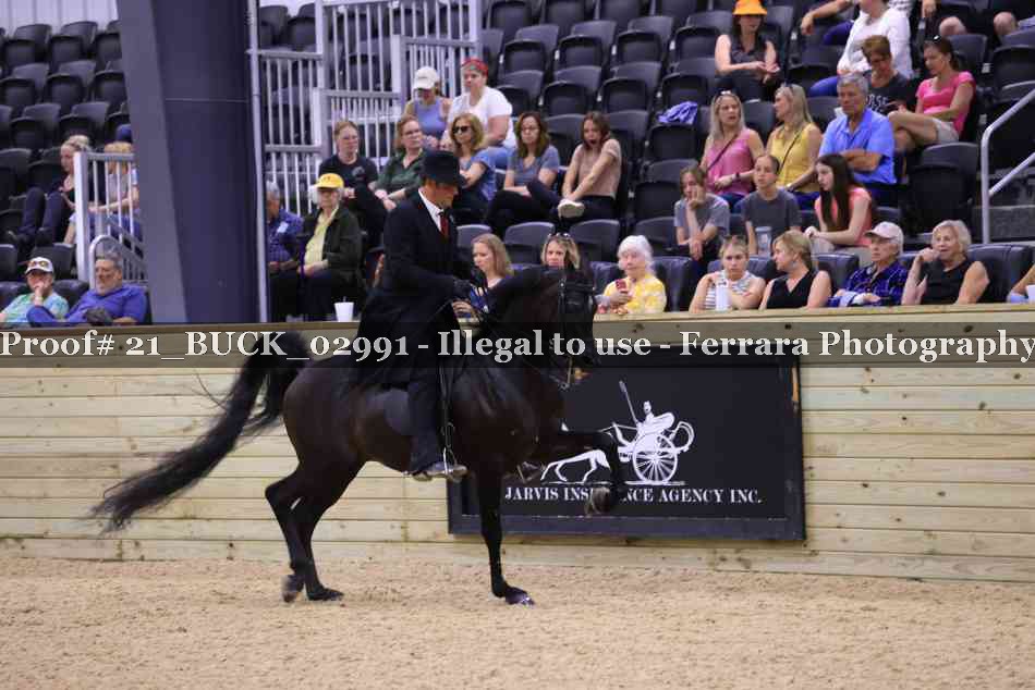 Proof Number 21_BUCK_02991
