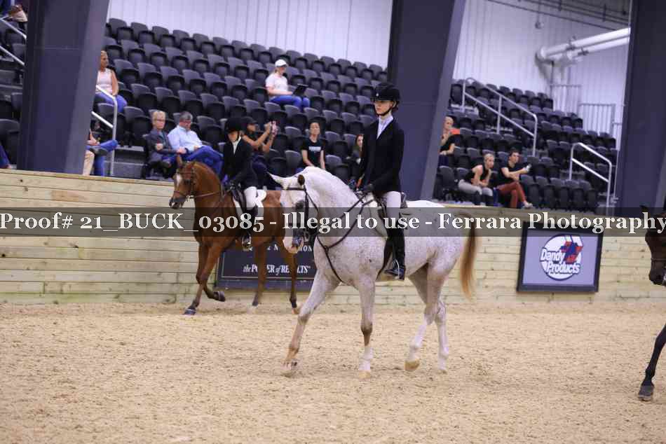 Proof Number 21_BUCK_03085