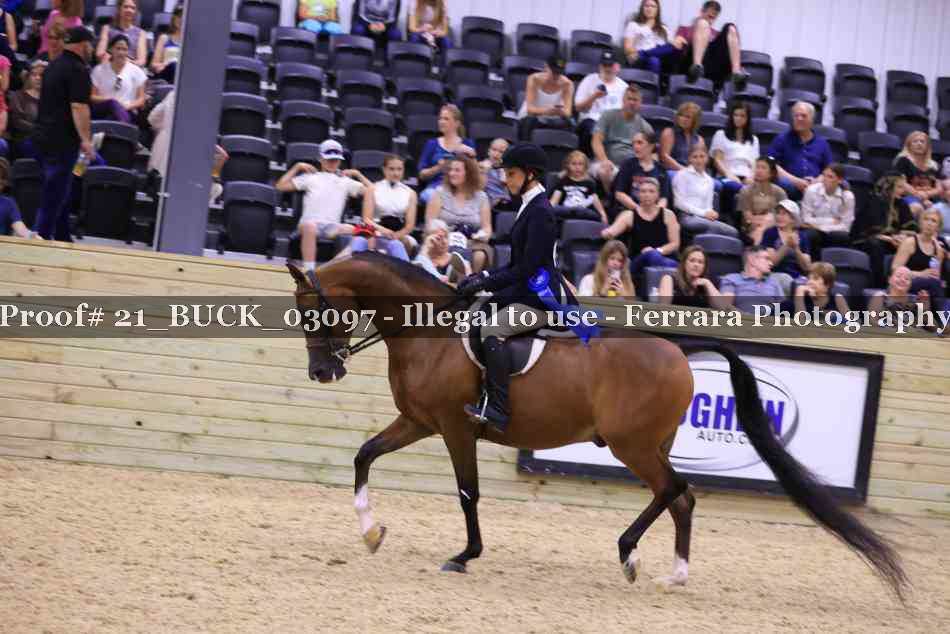 Proof Number 21_BUCK_03097