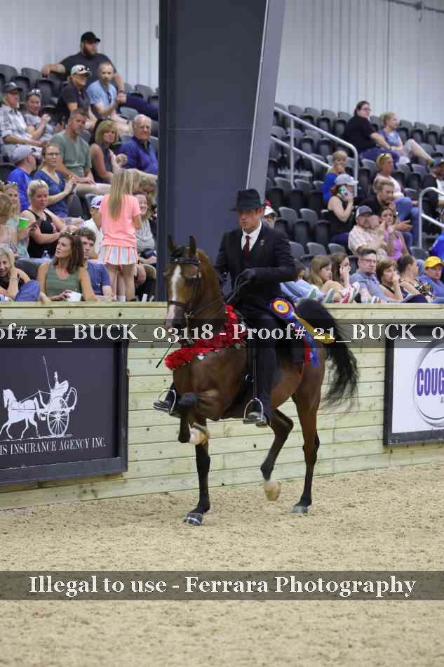 Proof Number 21_BUCK_03118
