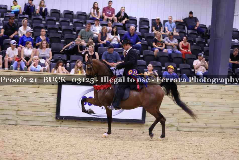Proof Number 21_BUCK_03125