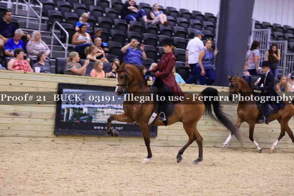 Proof Number 21_BUCK_03191