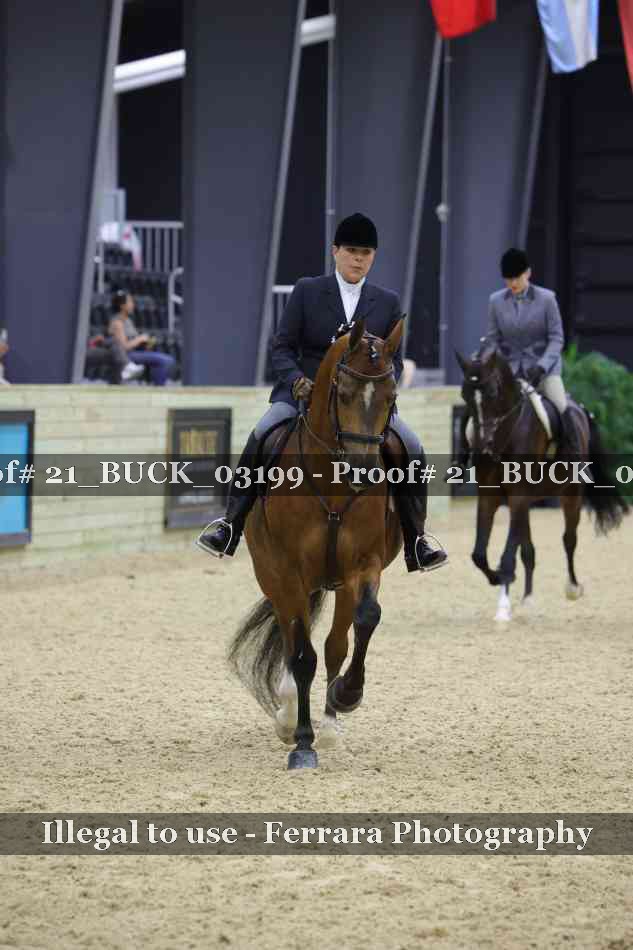 Proof Number 21_BUCK_03199