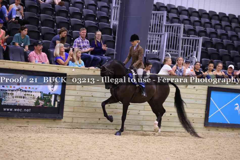 Proof Number 21_BUCK_03213