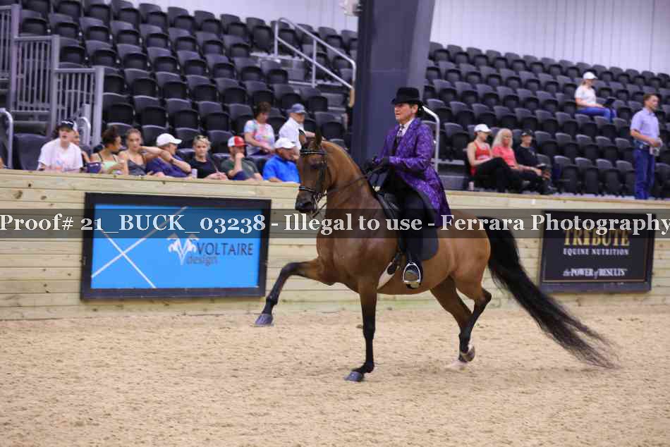 Proof Number 21_BUCK_03238