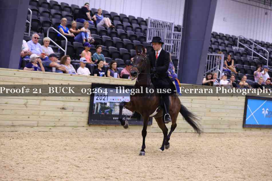 Proof Number 21_BUCK_03264