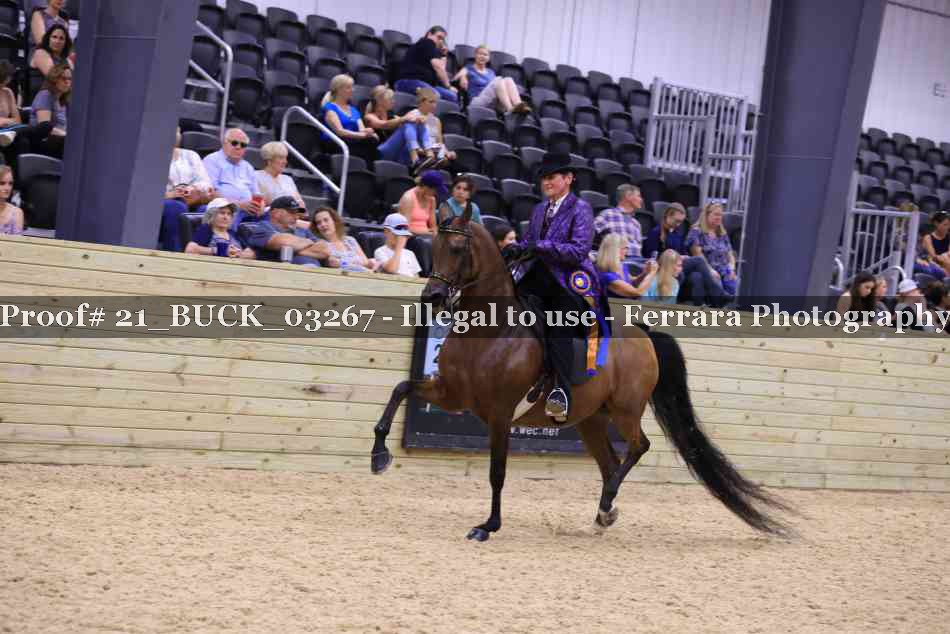 Proof Number 21_BUCK_03267