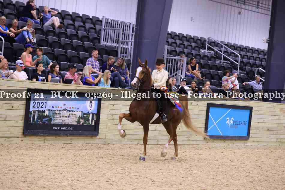 Proof Number 21_BUCK_03269