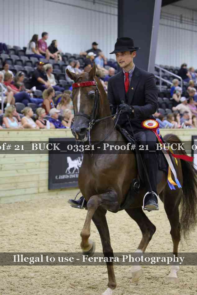 Proof Number 21_BUCK_03321