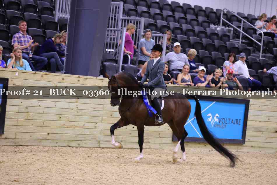 Proof Number 21_BUCK_03360
