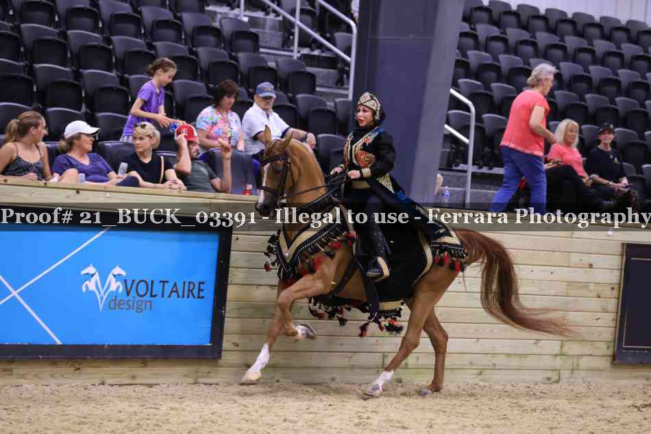 Proof Number 21_BUCK_03391