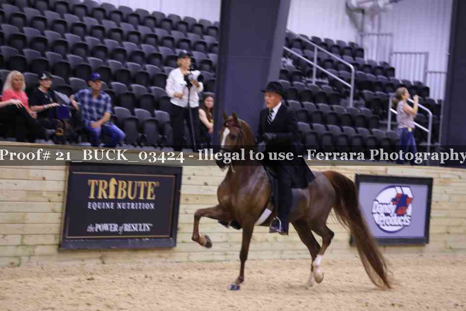 Proof Number 21_BUCK_03424