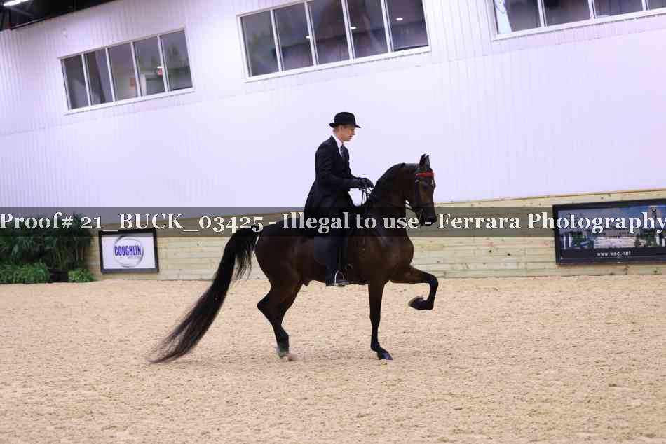 Proof Number 21_BUCK_03425
