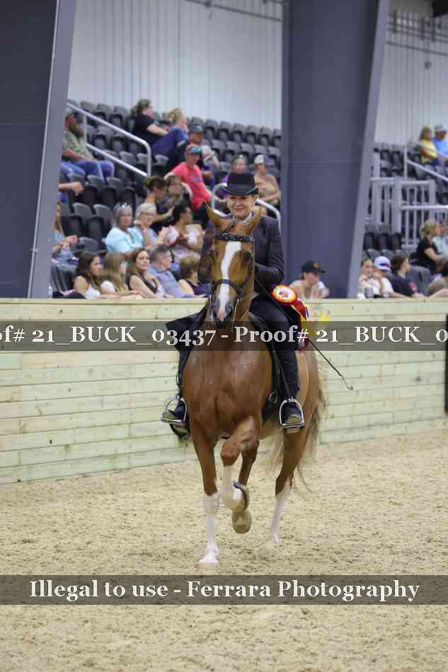 Proof Number 21_BUCK_03437