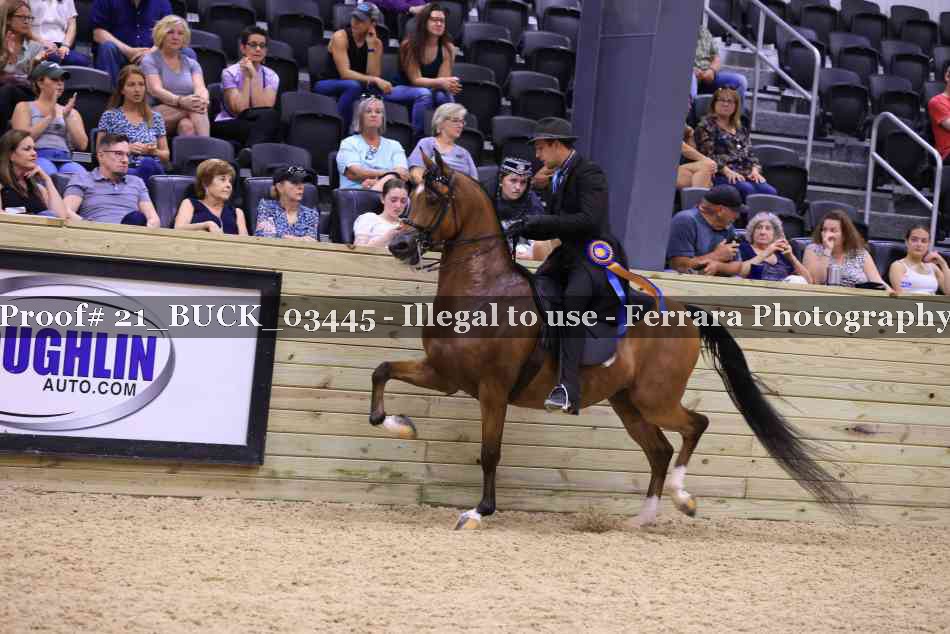 Proof Number 21_BUCK_03445