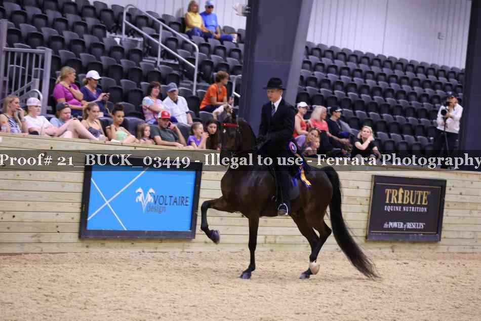 Proof Number 21_BUCK_03449