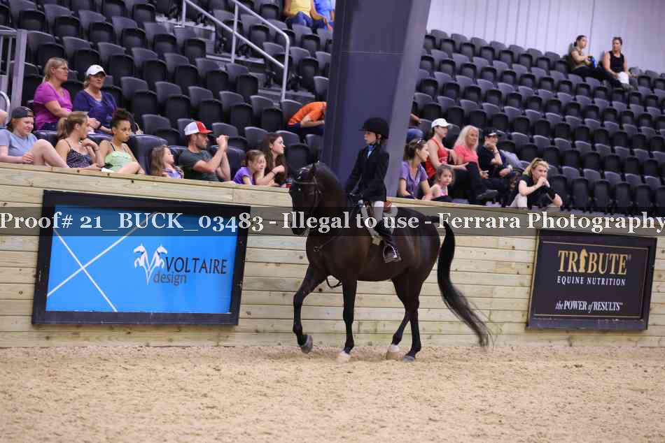 Proof Number 21_BUCK_03483