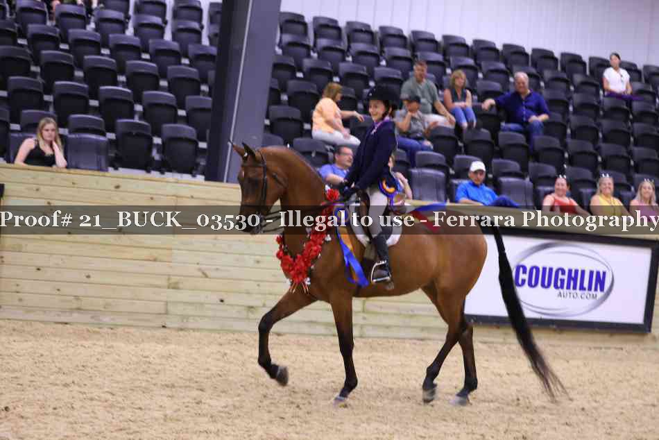 Proof Number 21_BUCK_03530