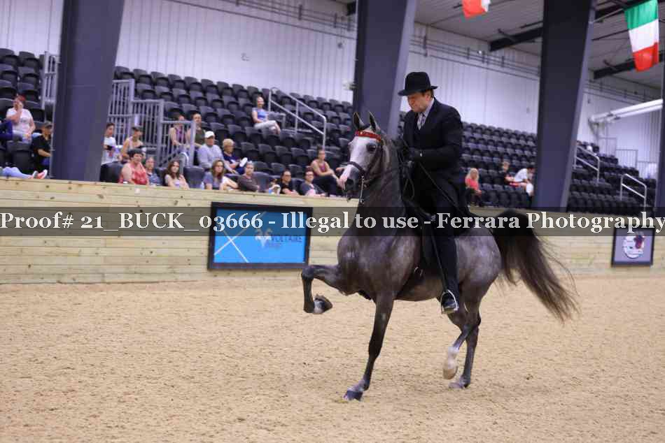 Proof Number 21_BUCK_03666