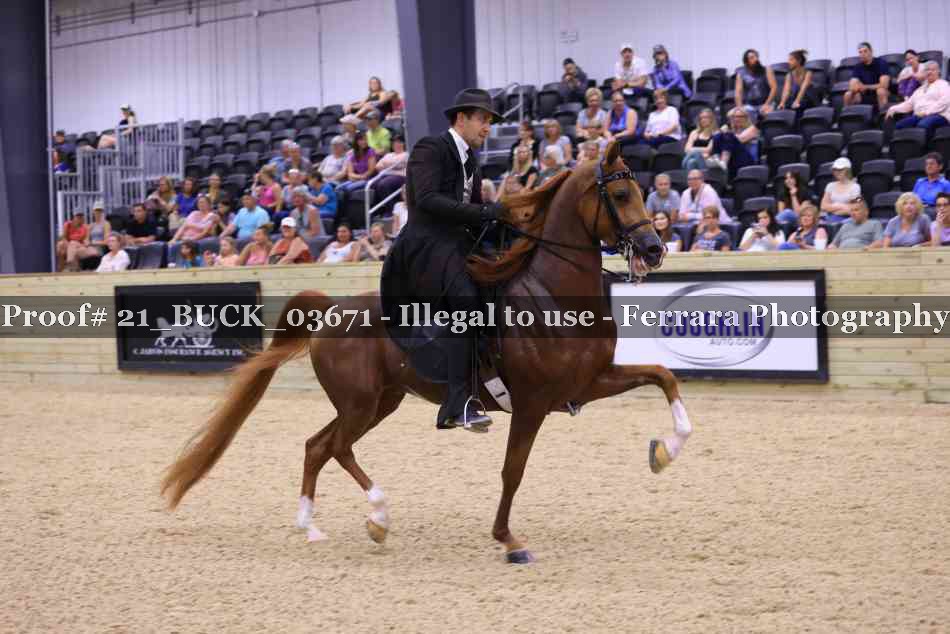 Proof Number 21_BUCK_03671