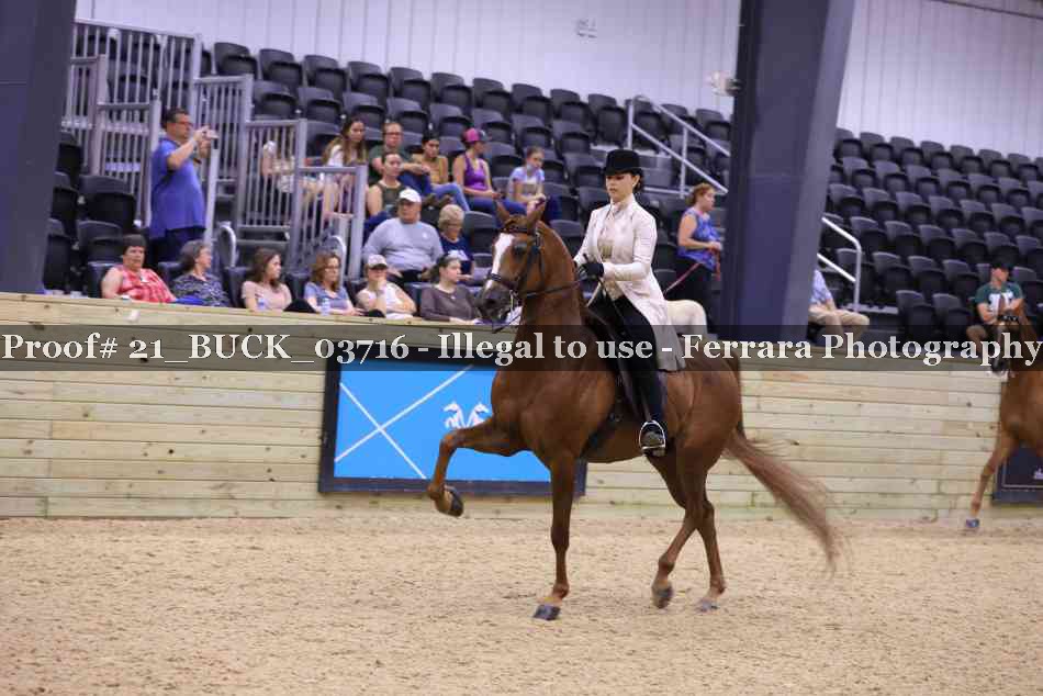 Proof Number 21_BUCK_03716