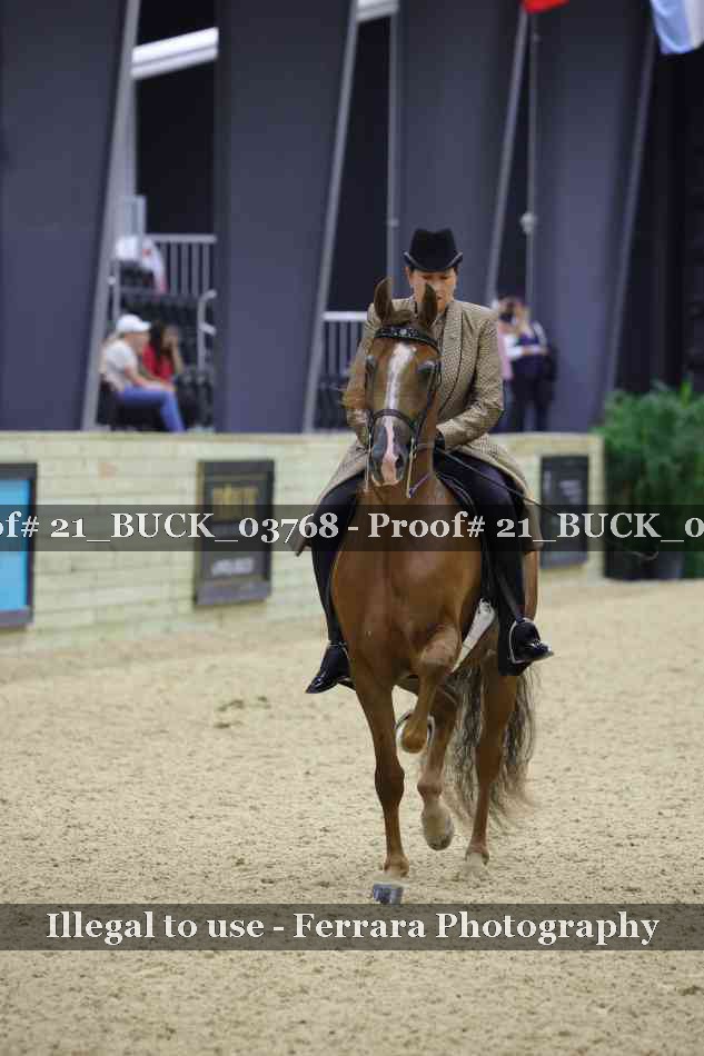 Proof Number 21_BUCK_03768
