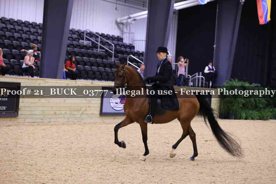 Proof Number 21_BUCK_03777
