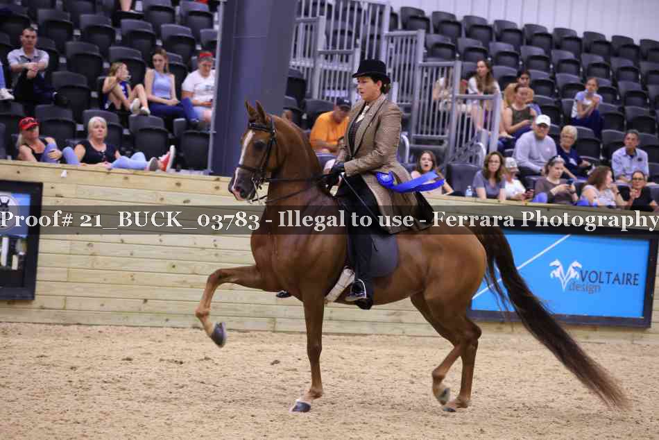 Proof Number 21_BUCK_03783