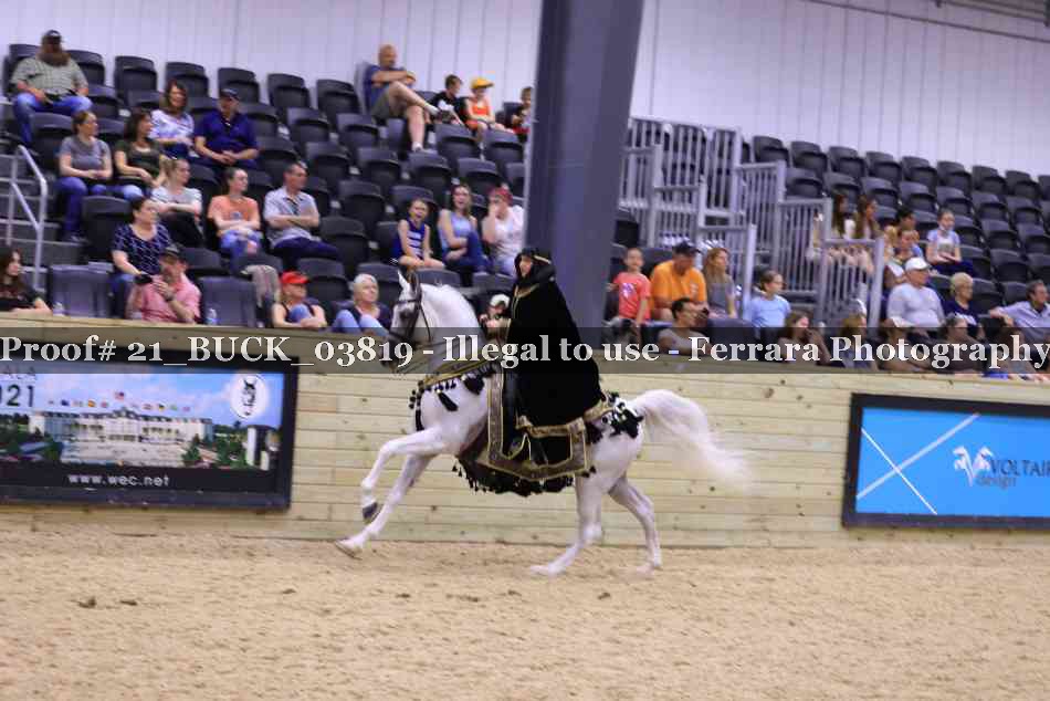 Proof Number 21_BUCK_03819